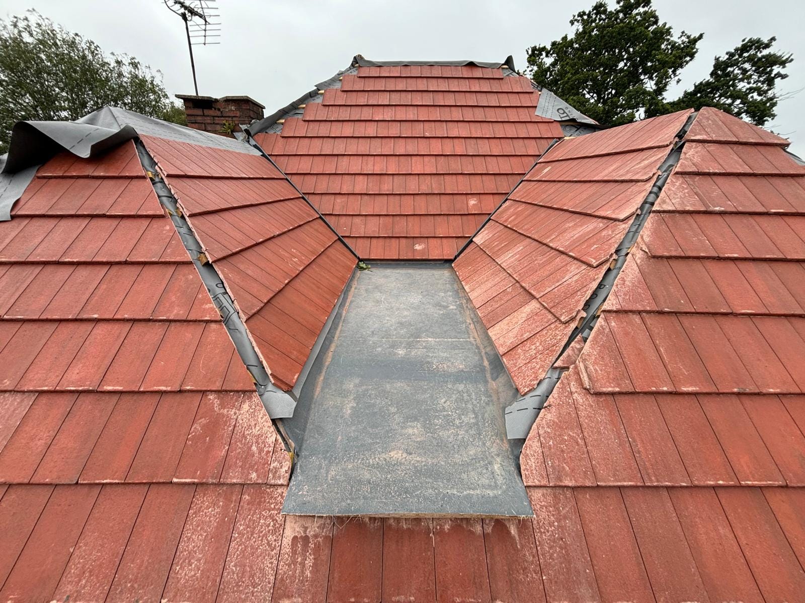Full House Renovation & Extension Project — photo 5