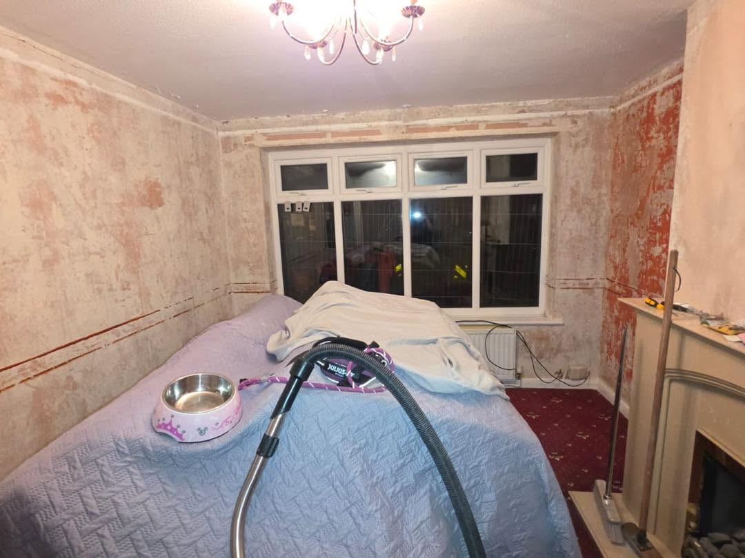 Kitchen Extension & Full Family Home Transformation — photo 3