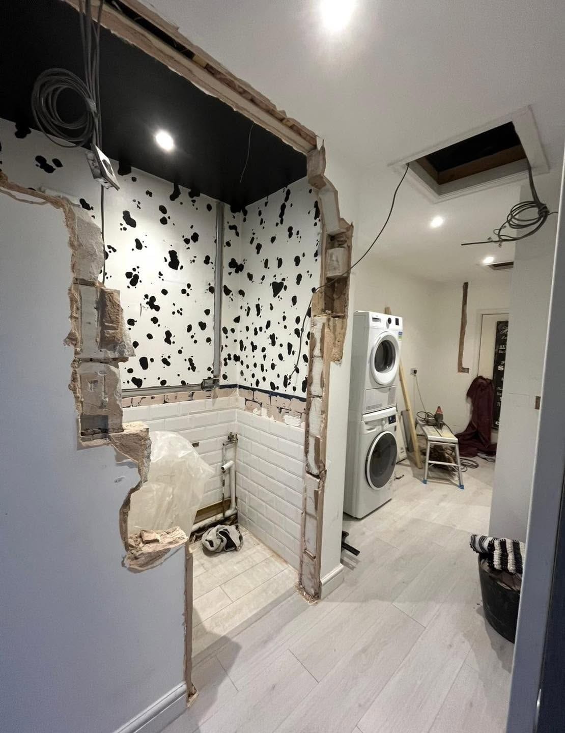 Old downstairs toilet during conversion